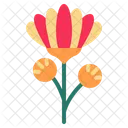 Chrysanthemum  Icon
