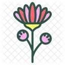 Chrysanthemum Flower Floral Icon