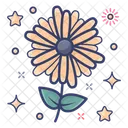 Blossom Chrysanthemum Flower Icon