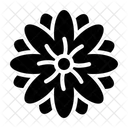 Chrysanthemum  Icon