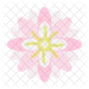 Chrysanthemum Wild Flower Farming And Gardening Icon