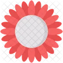 Chrysanthemum Icon