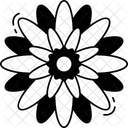 Chrysanthemum Icon