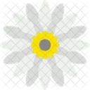 Chrysanthemum Icon
