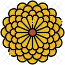 Chrysanthemum Icon