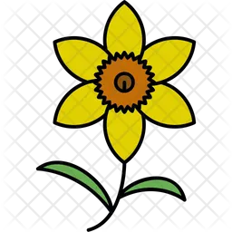 Chrysanthemum  Icon