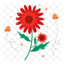 Chrysanthemum  Icon