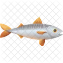 Chub Mackerel Fish Fish Food Icon