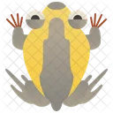 Chubby Frog  Icon