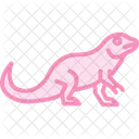 Chuckwalla Icon