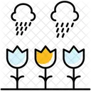 Chuva Clima Nuvem Ícone