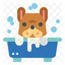 Banho  Ícone