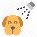 Cachorro Animal Mamifero Ícone