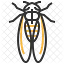 Cicada Insect Bug Icon