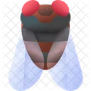 蝉  アイコン