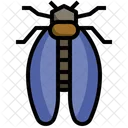 Cicada  Icon