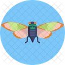 Insects And Bugs Cicada Animal Icon