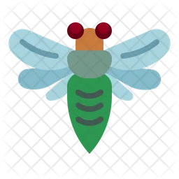 Cicada  Icon