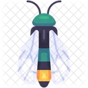 Cicada Insect Bug Icon