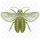 Cicada Icon