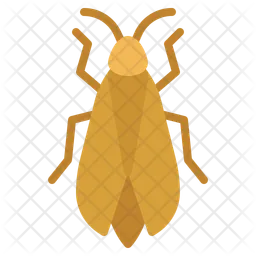 Cicada  Icon