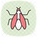 Cicada Insect Summer Icon