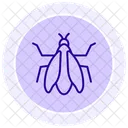 Cicada Insect Summer Icon