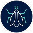 Cicada Insect Summer Icon