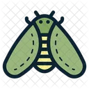 Cicadas Bug  Icon