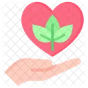Curacion Reparacion Confort Icono