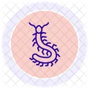 Ciempies Insecto Patas Icono