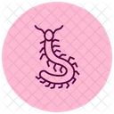Ciempies Insecto Patas Icono