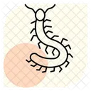 Ciempies Insecto Patas Icono