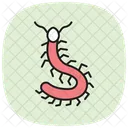 Ciempies Insecto Patas Icono
