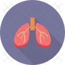 Quit Smoking Lungs Destroy Icon