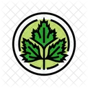 Cilantro Cosmetic Plant Icon