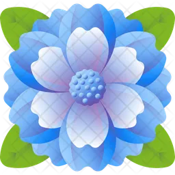 Cineraria  Icon