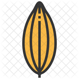Cinnamon Icon