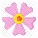 Cinquefoil Flower  Icon