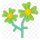 Cinquefoil Flowers  Icon