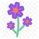 Cinquefoil Flowers  Icon