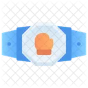 Cinturon De Boxeo Boxeo Campeonato Icon
