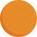 Circle Arrow Round Icône