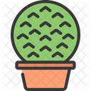 원형 식물  아이콘