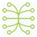 Structure Organization Network Icon