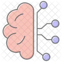 Circuit cérébral  Icône