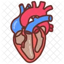 Circulacion Sanguinea Del Corazon Sistema Cardiovascular Corazon Icono