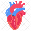 Circulacion Sanguinea Del Corazon Sistema Cardiovascular Corazon Icono