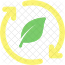 Circular Arrow And Leaf Icon
