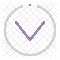 Circular Down Chevron  Icon